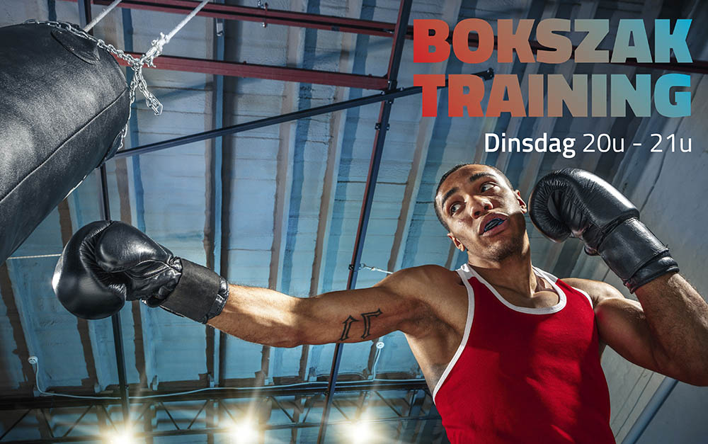 bokszaktraining banner